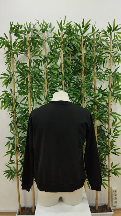 Erkek Uzun Kollu Bisiklet Yaka Milano Yazılı Iki Iplik Bluz